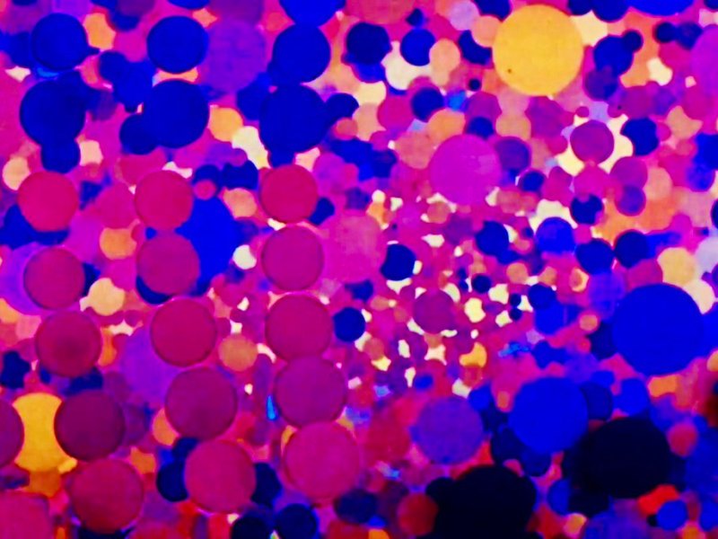 ALMANACCO: 31 Gennaio muore l’artista Oskar&nbsp;Fischinger